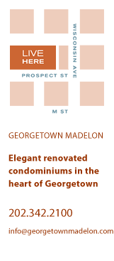 Georgetown's Unique Condominium